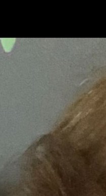 Maria Cruz Obituary - Ontario, CA