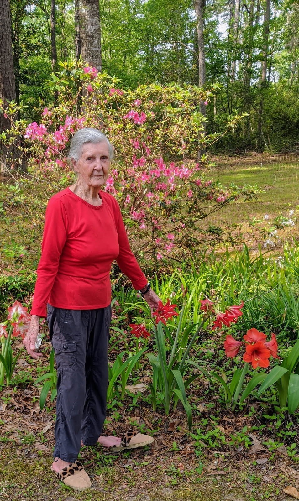 Obituary of Bettye Powell Lyles Groves