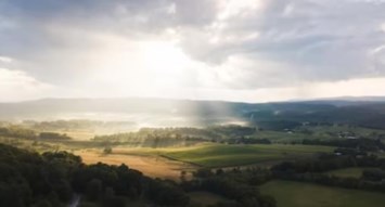 Obituary of Patricia Ann Robinson