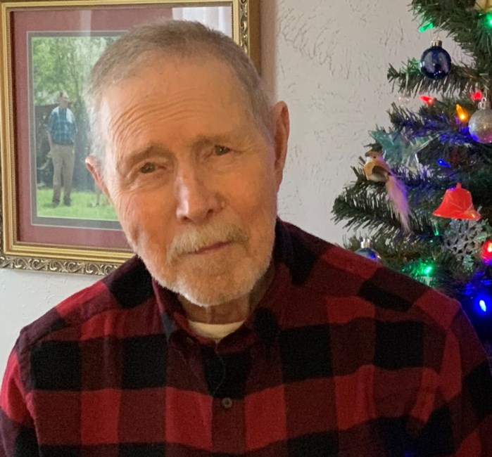 Avis de décès de Travis Leon Springfield