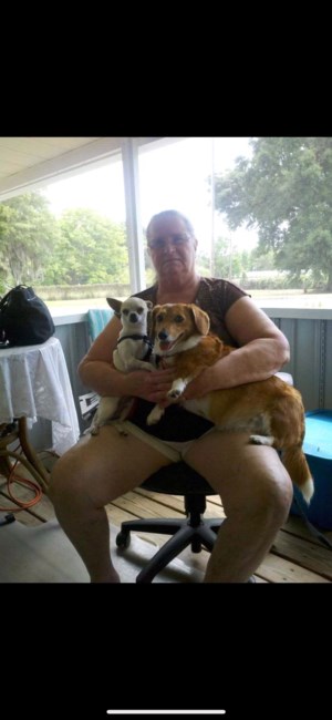 Obituary of Judy Ann Helms