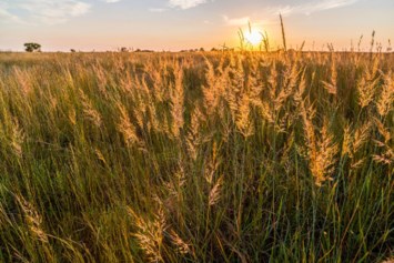 Obituary of Janice Meter