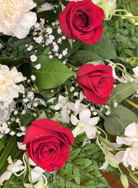 Obituary of Bonita Ann Graham