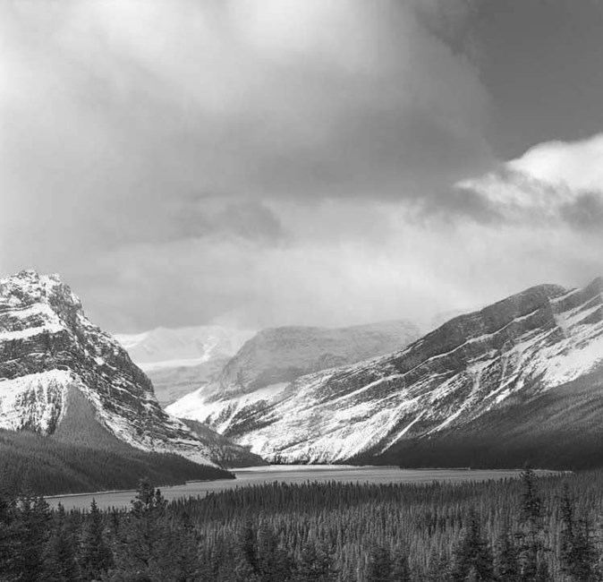 Obituary of Roberta Jo "Bobby" Foster