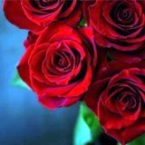 Avis de décès de Sandra R Chapin