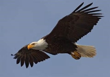 Avis de décès de Gary "Jeff" Jefferson Hazen