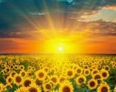 Avis de décès de Mario Alvaro Moreno