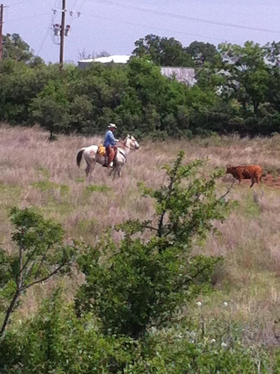 Obituary of Ronald Maberry