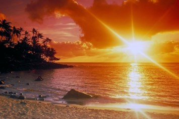 Obituary of Deborah Ann Johnson