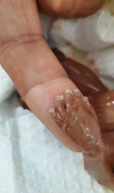 Obituary of Benito Caleb Gonzalez IV