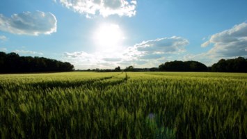 Obituary of William Hoss T. Cosner