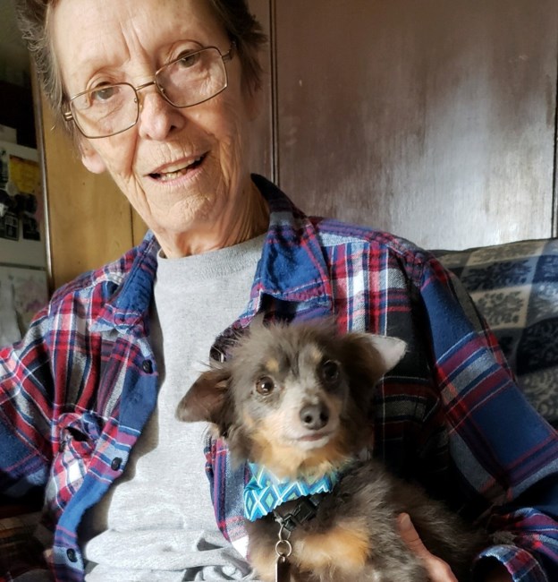 Obituary of Janice Gail Couch