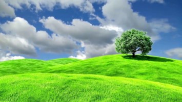 Obituary of Randall Lee Cameron