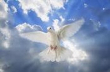 Obituary of Joyce O. George