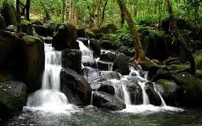 Obituary of James Michael McFarland