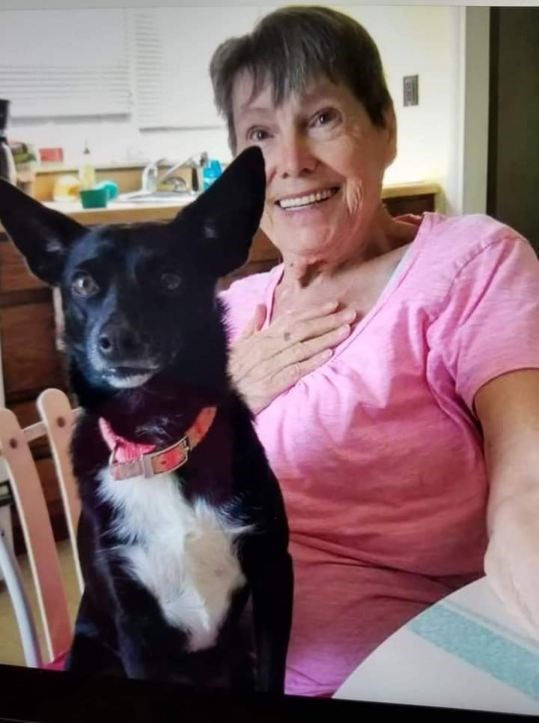 Carolyn Dawson Obituary Kokomo, IN