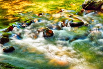 Obituary of Norman Brad Choate