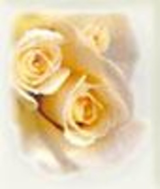 Obituary of Robert Donald Carr