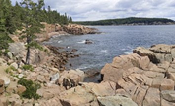 Obituary of Cynthia G Wells