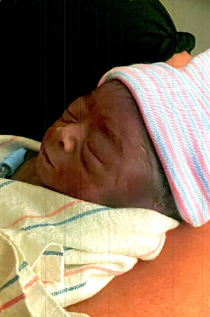 Obituary of Nikolas Roberto Jimenez