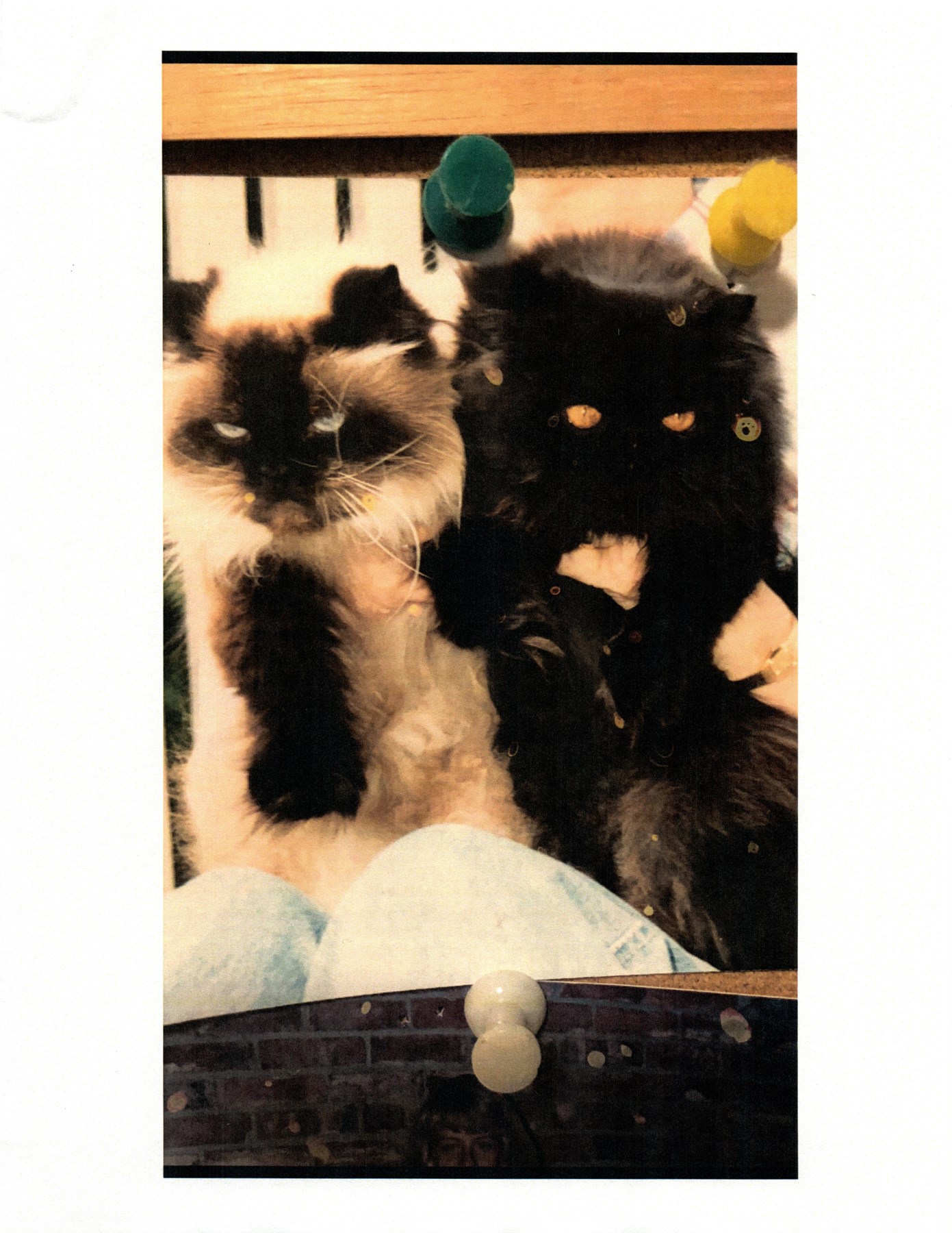 Janet Orme Obituary Bellevue Wa