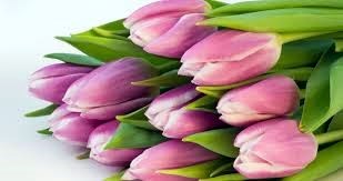 Obituary of Anna Passanante