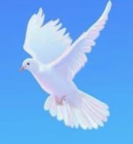 Obituary of Carmen Milagros Robles Morales