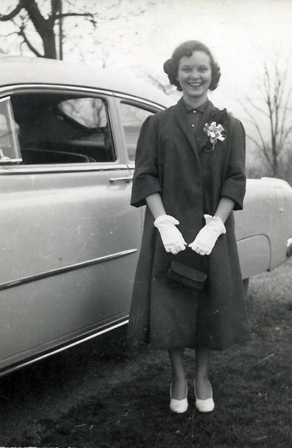 Sue Pressley Obituary Knoxville Tn