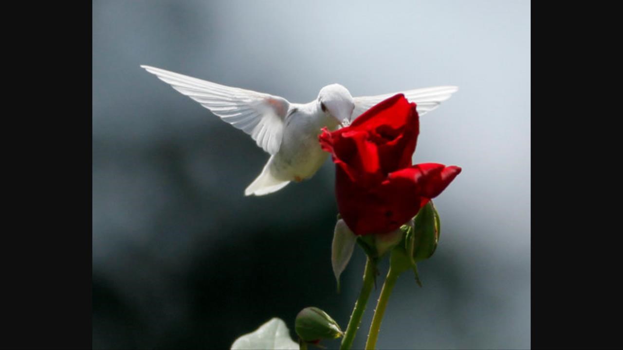 Obituary of Natalia Arteaga