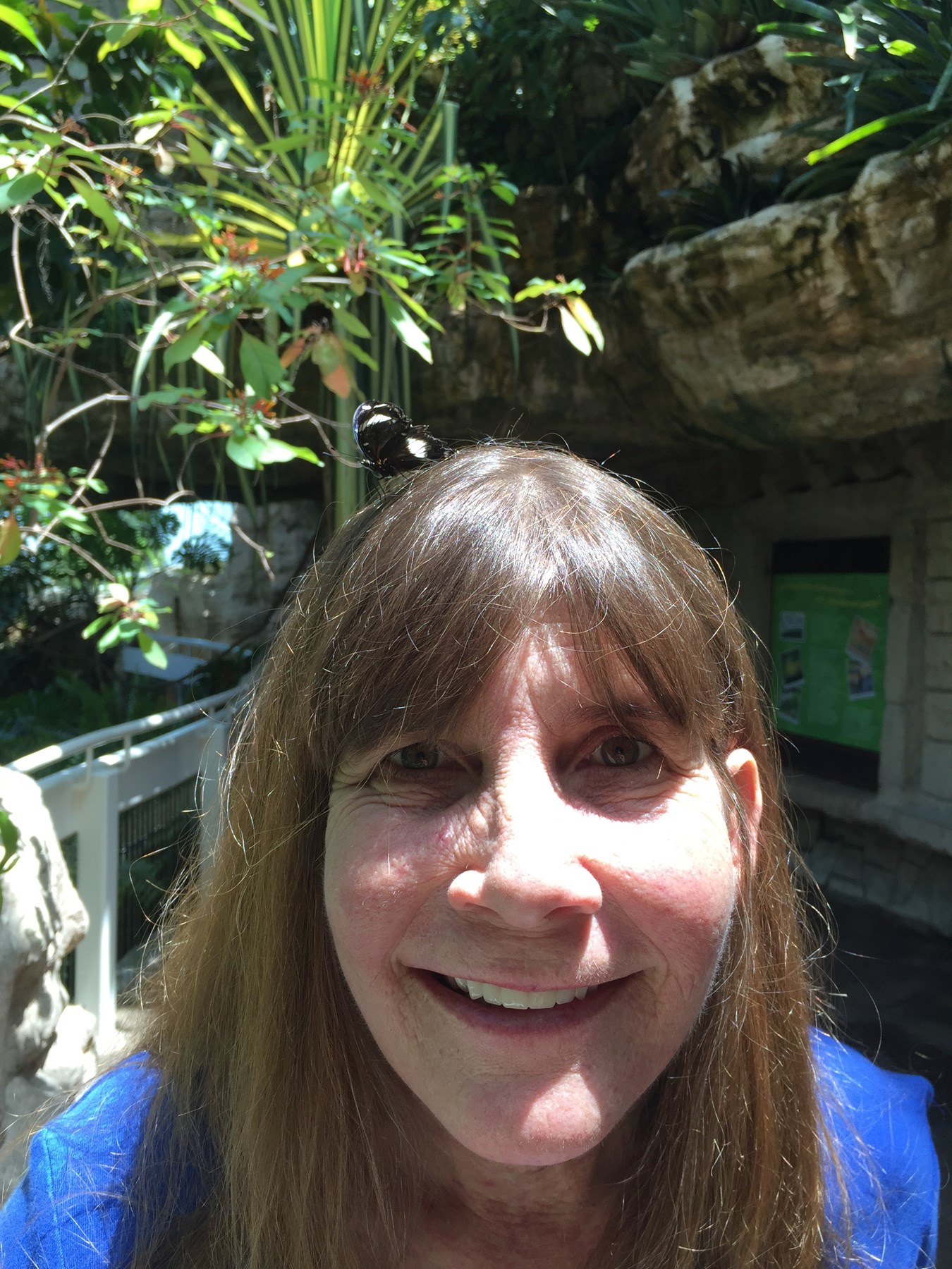 Obituary of Vicki L. Coblentz