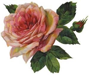 Obituary of Louise Blackburn Neidlinger Johnson