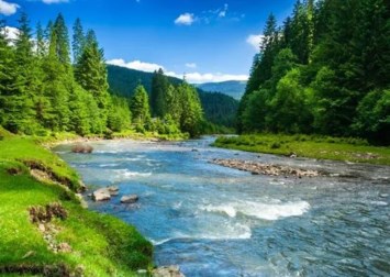 Obituary of William Gerald Richardson