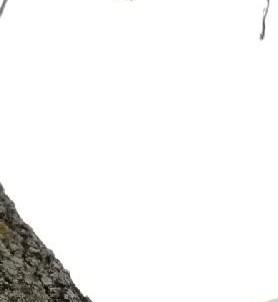 Jeffrey Bonds Obituary Houston, TX