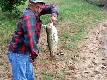 Obituary of Donald Preston Teeter Jr.