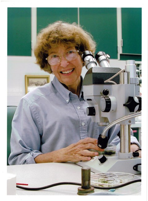 Obituary of Mrs. Marguerite Wettstein