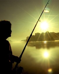 Obituary of William Herbert MARTIN