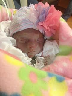 Obituary of Melanie Alanni Sanchez-Verdugo