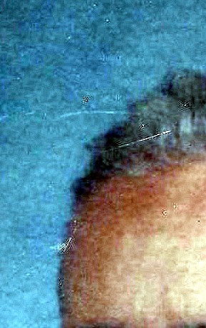 John O'Connell Obituary Westwood, NJ