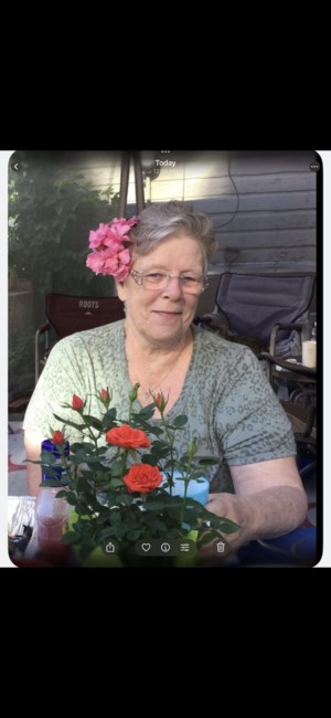 Obituary of Carolyn Anne Brown