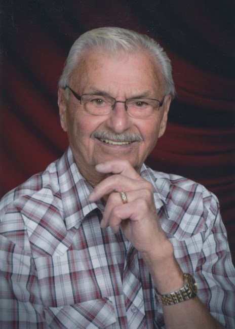 Obituary of Ronald Peter Giorgi
