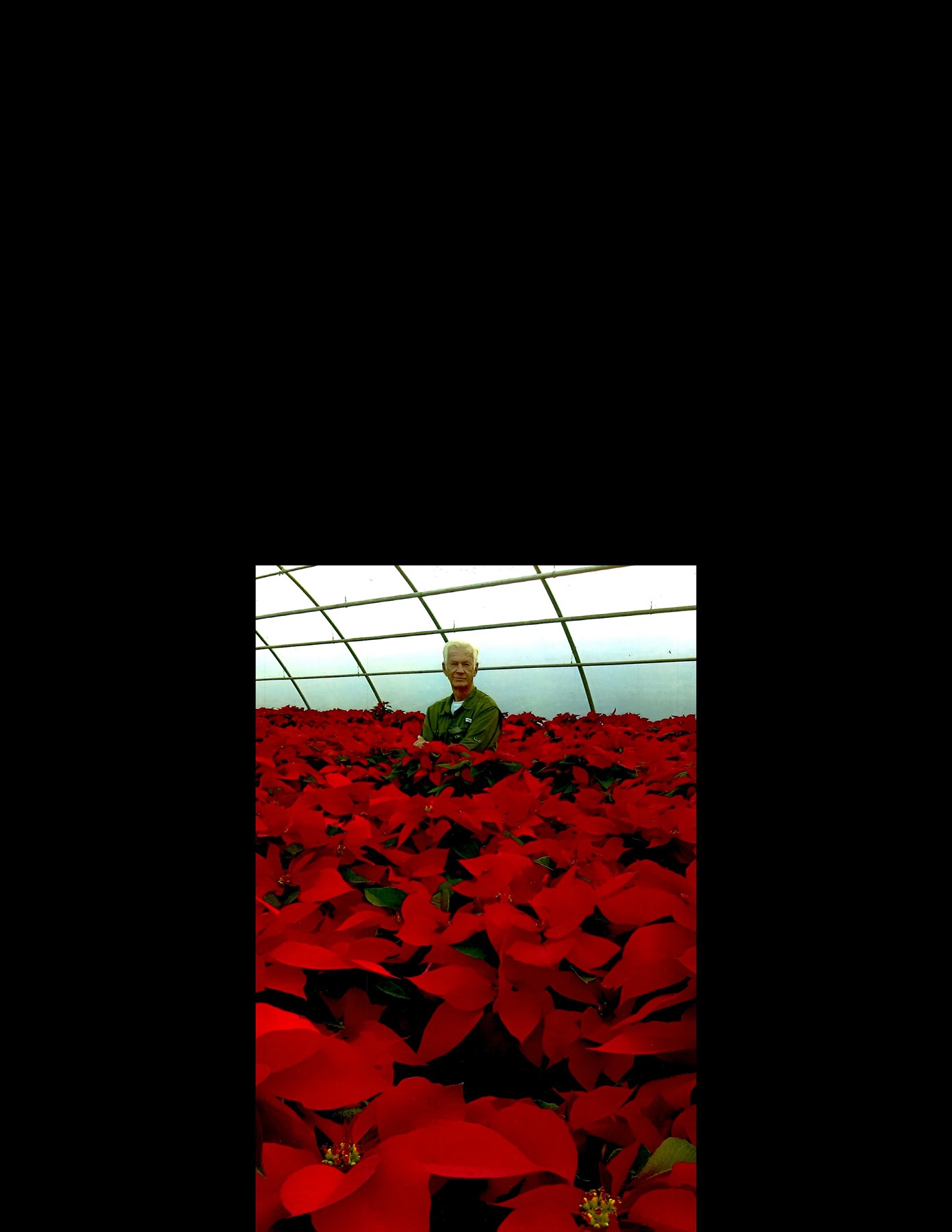 Obituary of Daniel Riley Brown