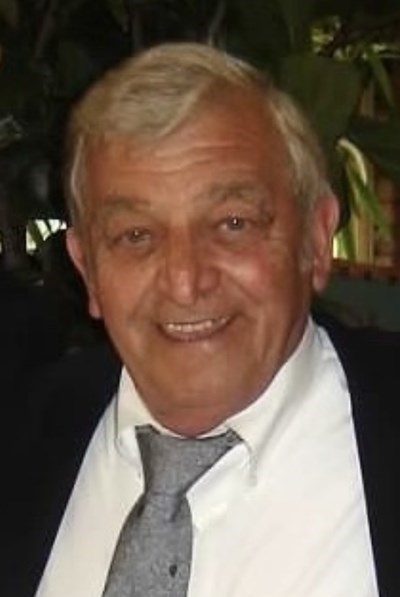 Obituary of Domenico J. Susini