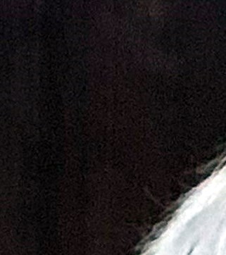 Cecilia Keefe Obituary Rockledge FL cecilia-keefe-obituary-rockledge-fl