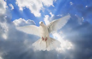 Obituario de Jacqueline Ann Hines