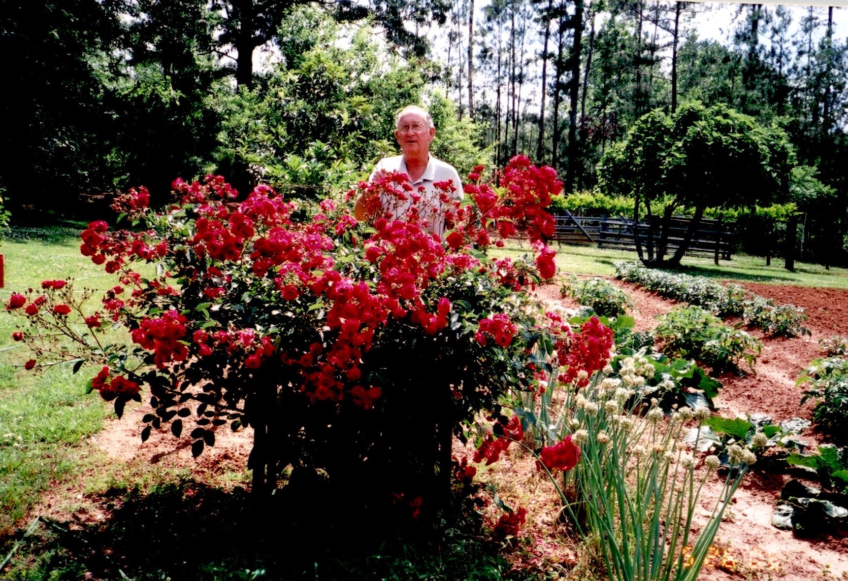 Obituary of Charlie George White