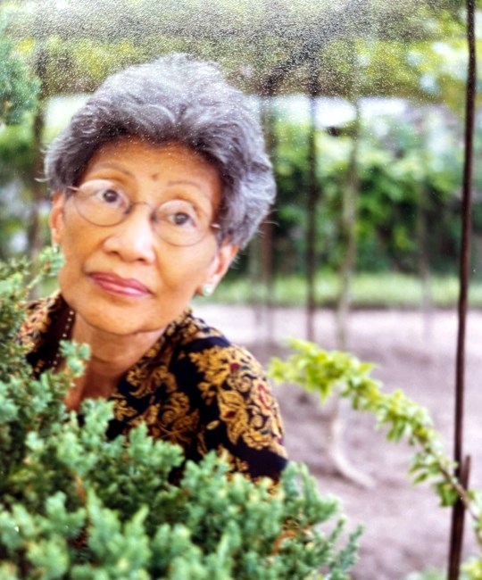 Obituary of Hoa Thi Huynh