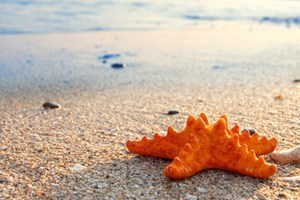 Obituary of Patrick John Murphy