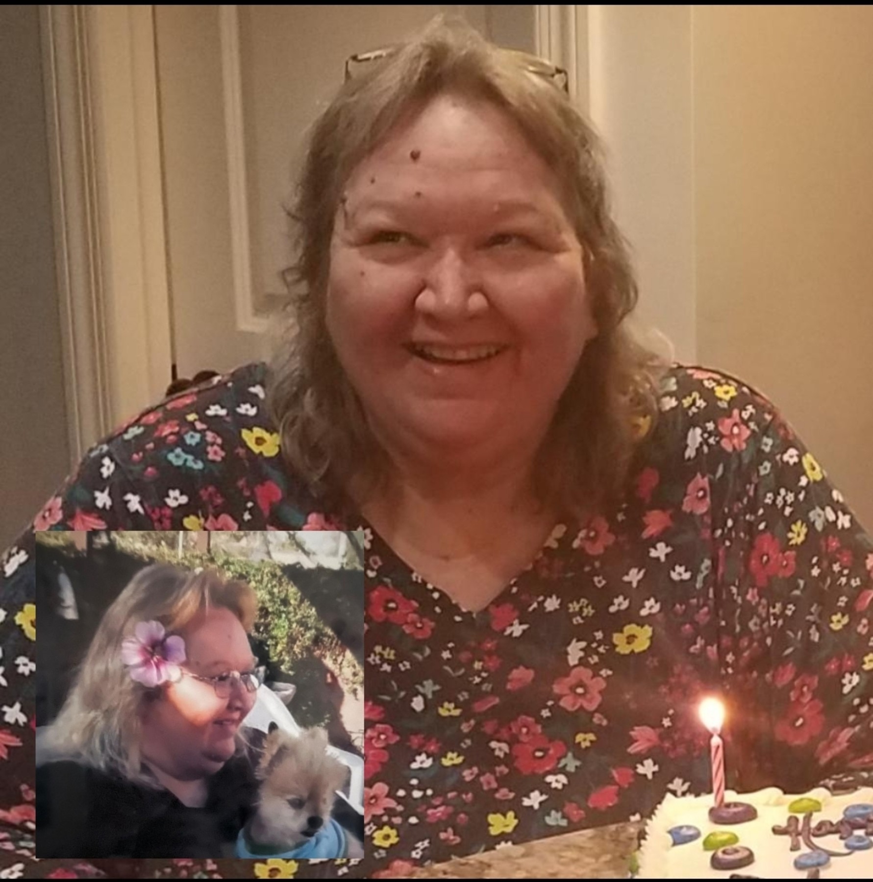 Obituary of Shelli Kline