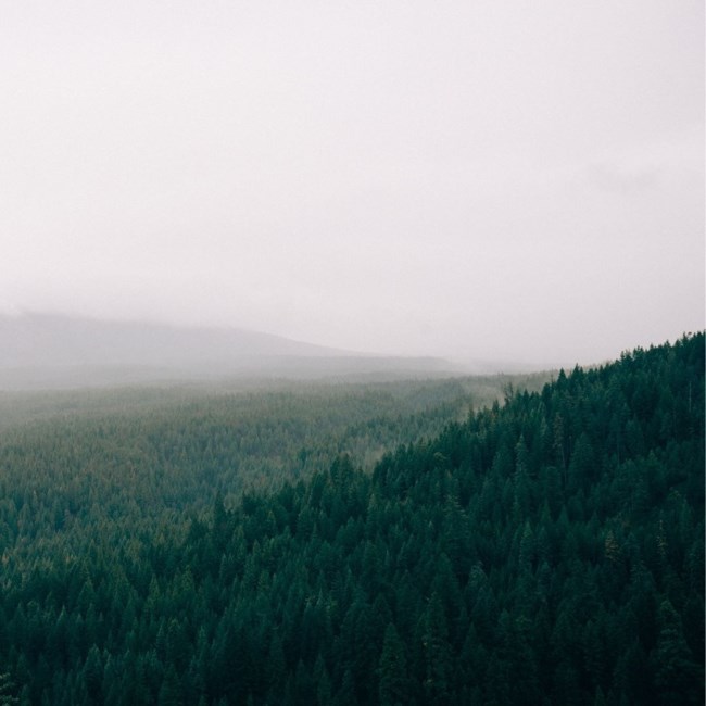 Obituary of Steven Richard Winslow