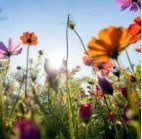 Obituary of Mary Ann Dukes